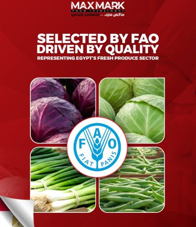 592920528_122099183361151864_6729227240609542507_n