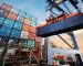 Egypt’s Agricultural Exports