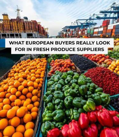 What European Buyers Really Look for in Fresh Produce Suppliers