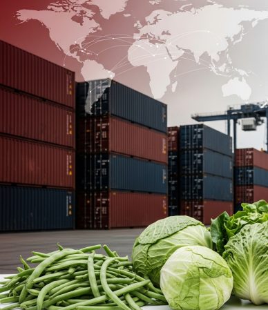 agri export supply chain resilience Egypt and global markets